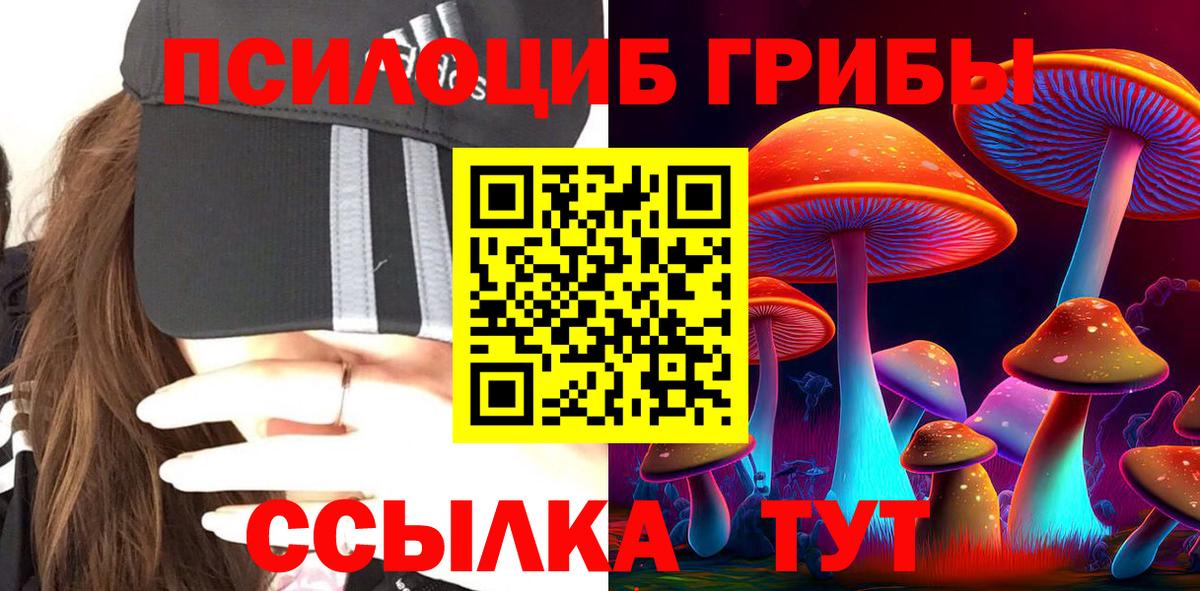 где продают   Псилоцибиновые грибы Magic Shrooms  Вход с VPN  Галлюциногенные грибы Psilocybine cubensis  Зеленогорск 